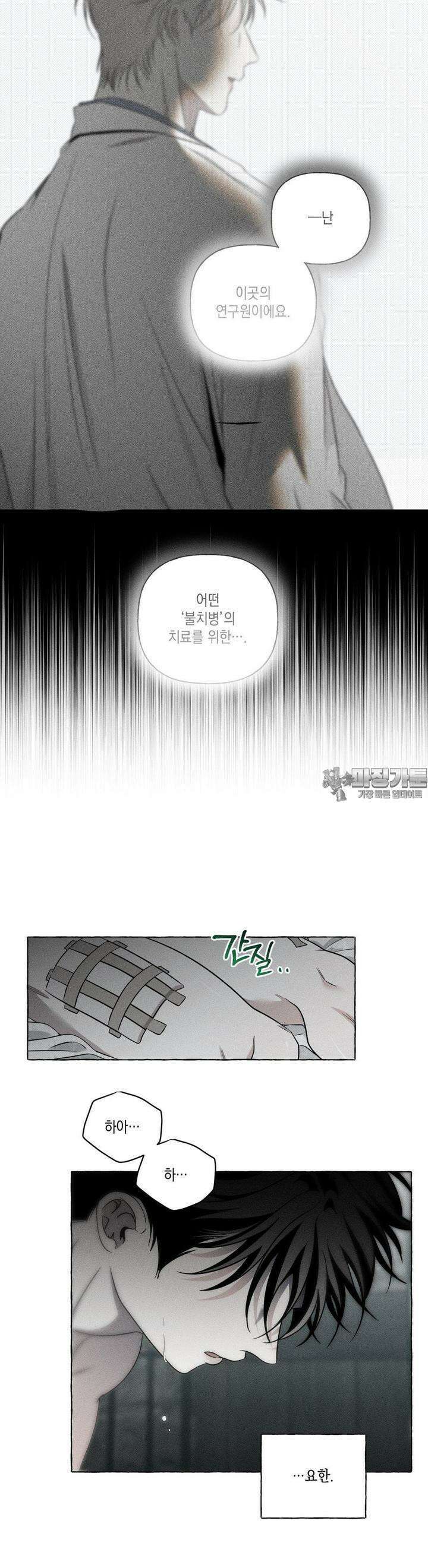 뼈와 꽃잎 18화 6