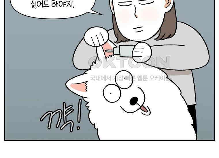 극한견주 시즌2 28화 강약약강 17