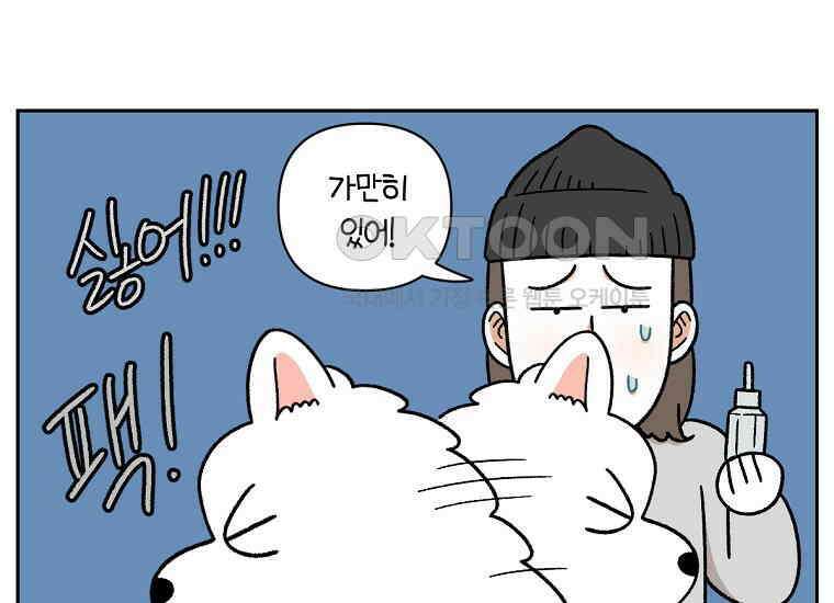 극한견주 시즌2 28화 강약약강 19