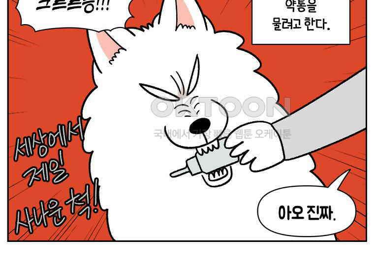 극한견주 시즌2 28화 강약약강 21
