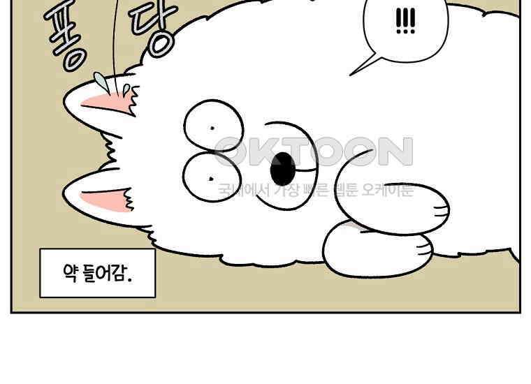 극한견주 시즌2 28화 강약약강 30