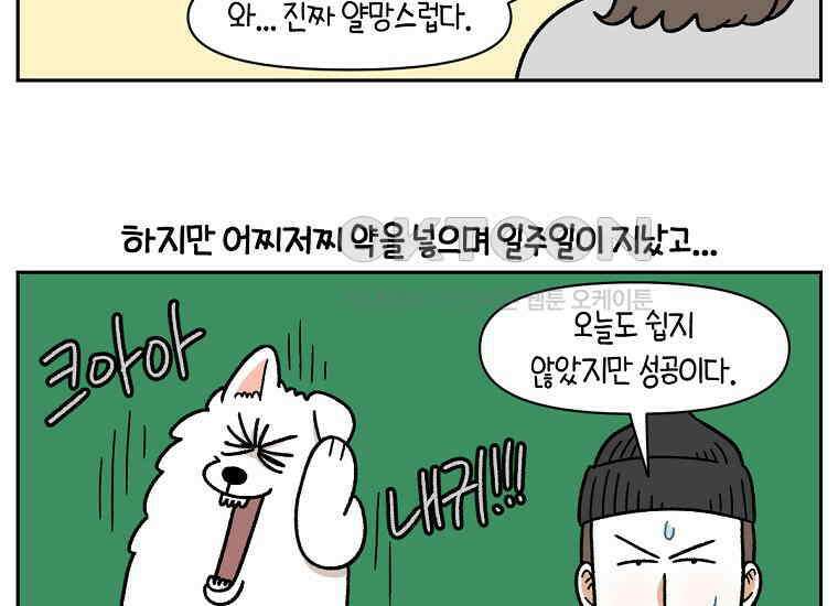 극한견주 시즌2 28화 강약약강 35