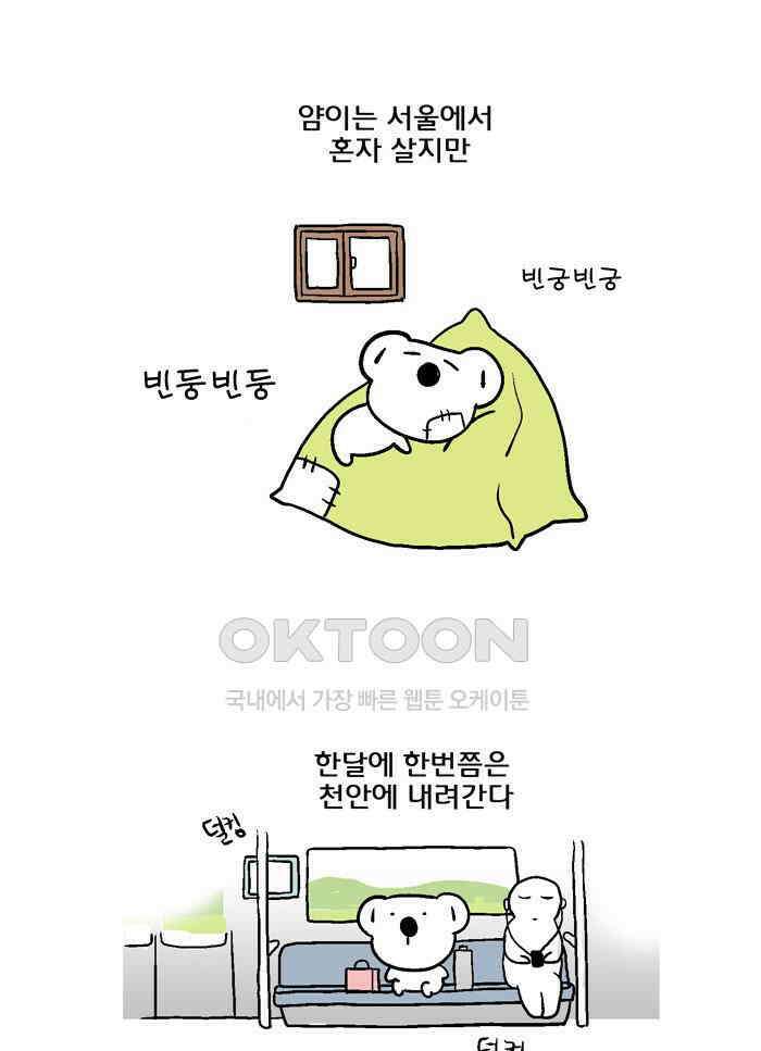 코알랄라 133화 얼갈이 겉절이 1
