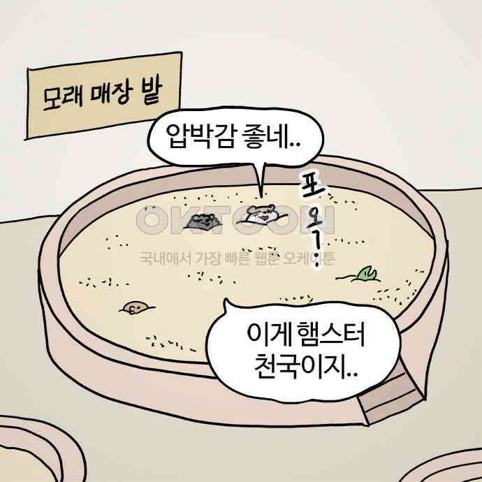 흔한햄 2부 21화 : 얘네들은 뭐꼬??? 4