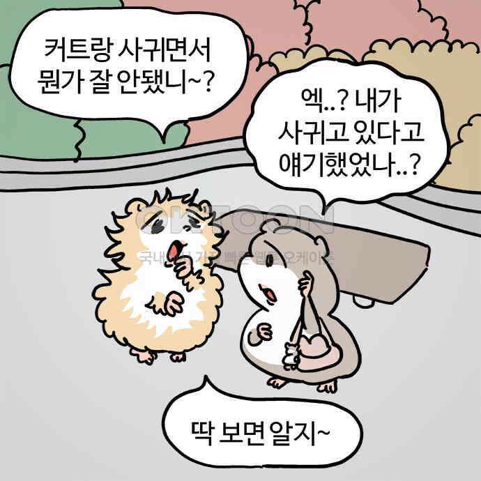 흔한햄 2부 38화 : 울쥐식 상담 3