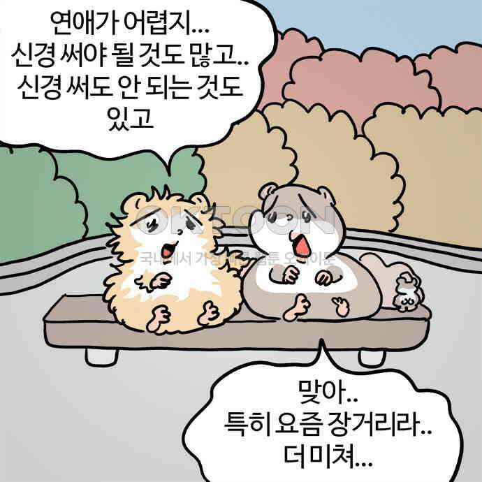 흔한햄 2부 38화 : 울쥐식 상담 5