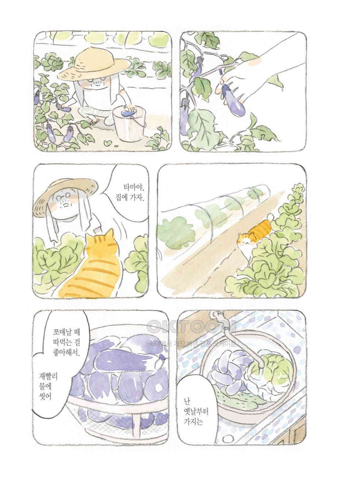 고양이와 할아버지(컬러판) 39화 3