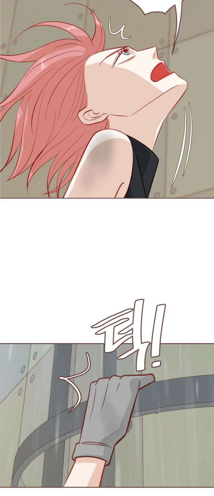 프린키피아 52화 2