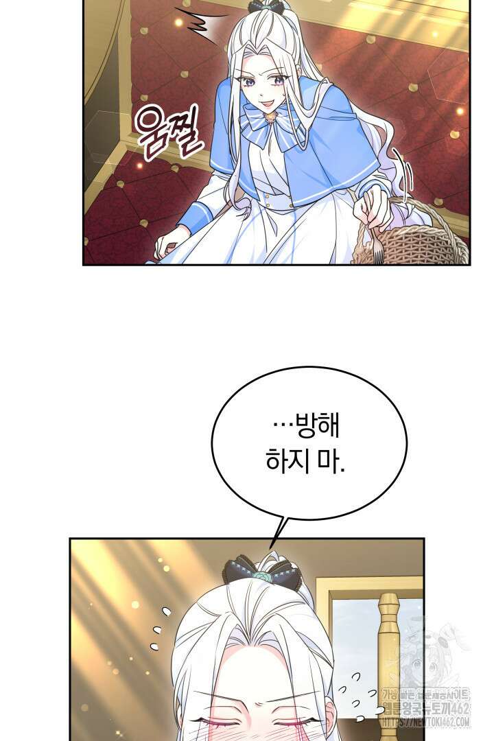 네이라의 용 41화 17