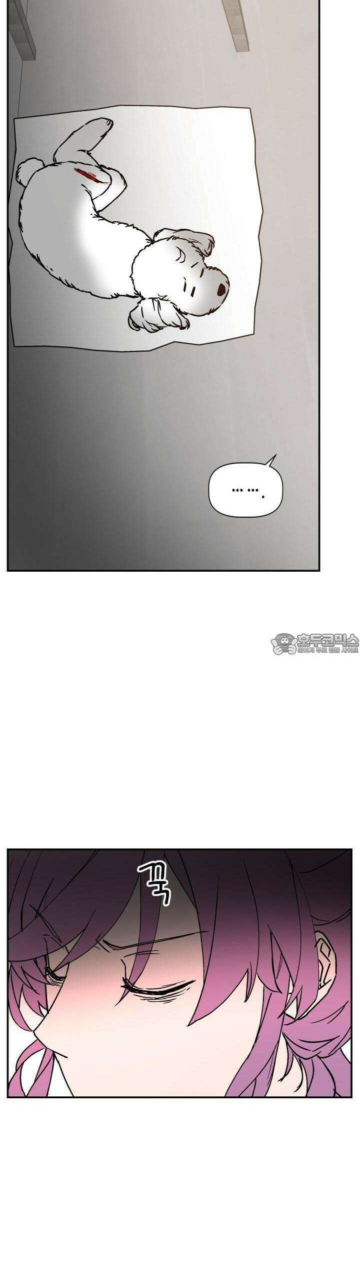 개의 눈으로 보라 14화 37