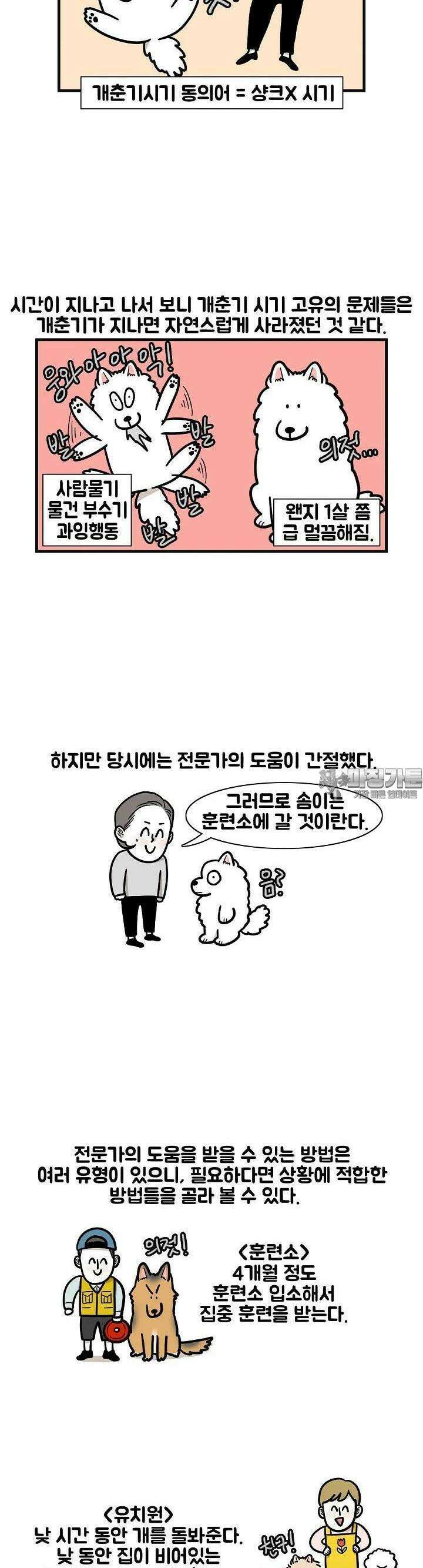 극한견주 53화 훈련소 1 2