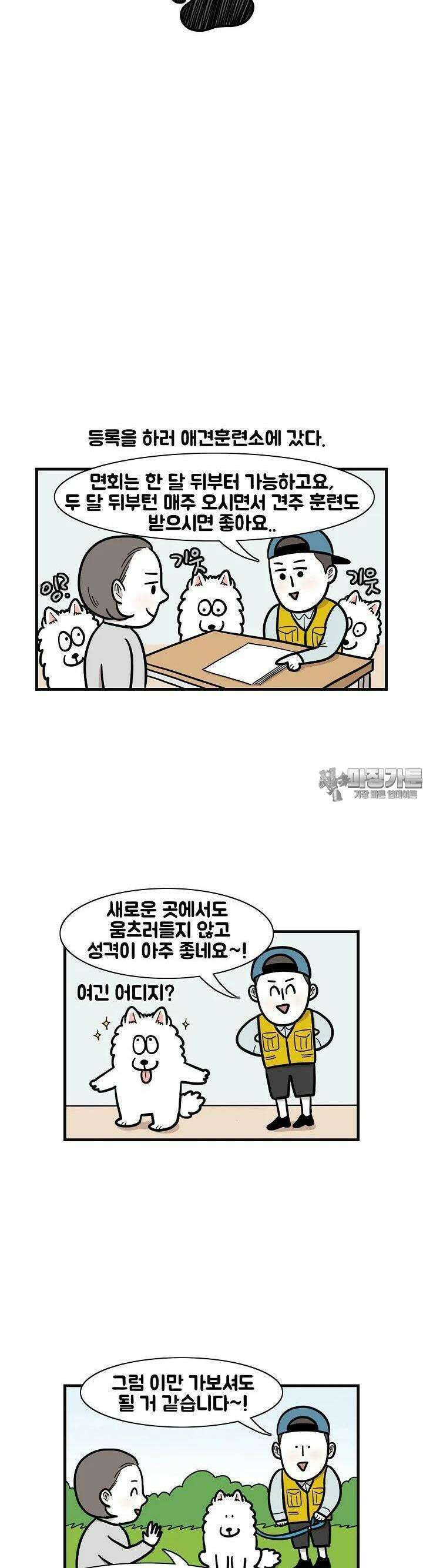 극한견주 53화 훈련소 1 4