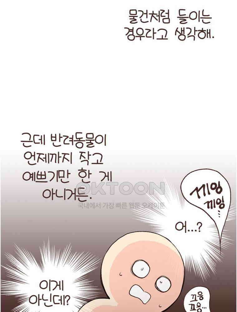 유부녀의 탄생 S6E16． 강아지 키워도 돼? 33