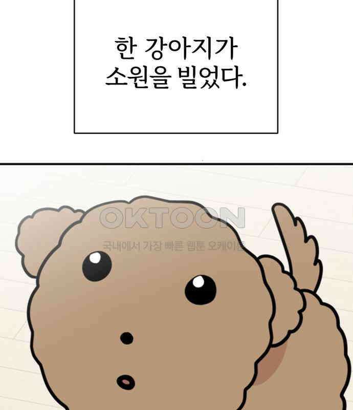 마루는 강쥐 117화． 마루, 안녕(2) 4