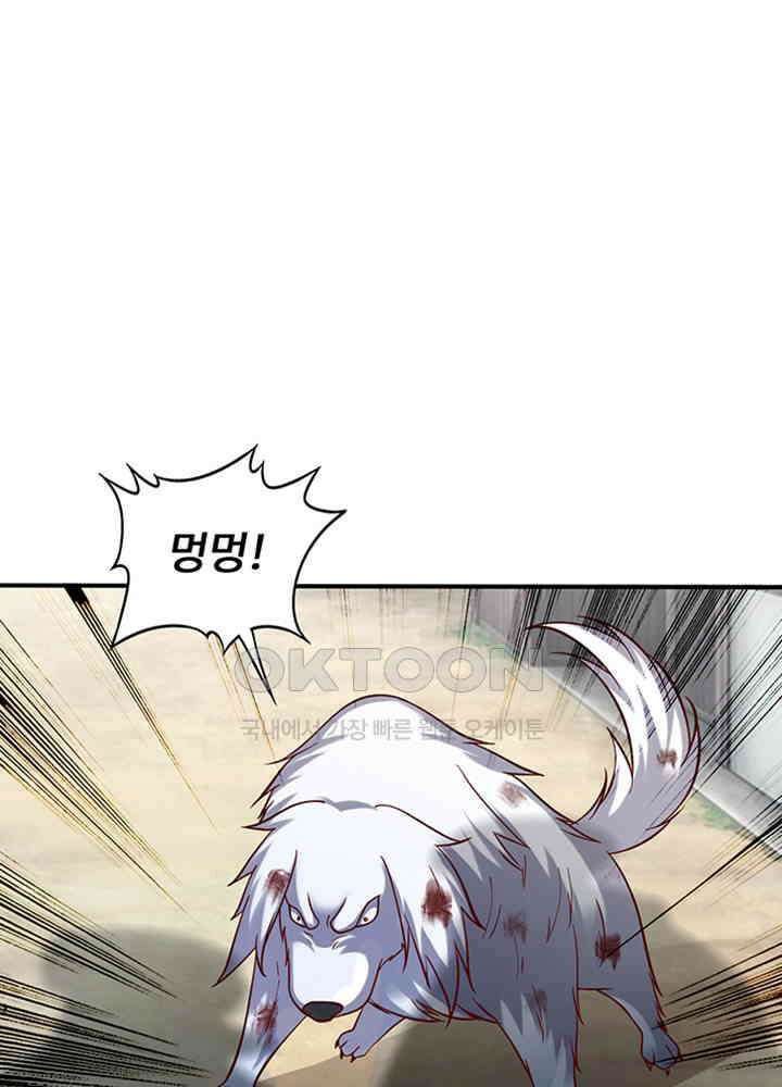최강신의 242 2