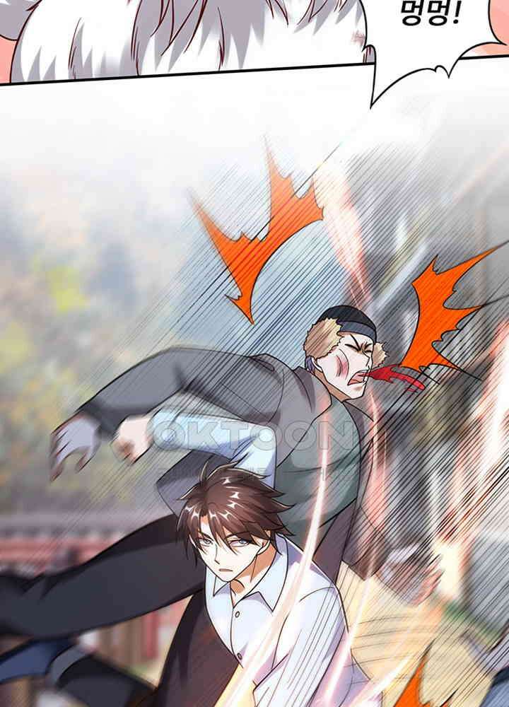 최강신의 242 10