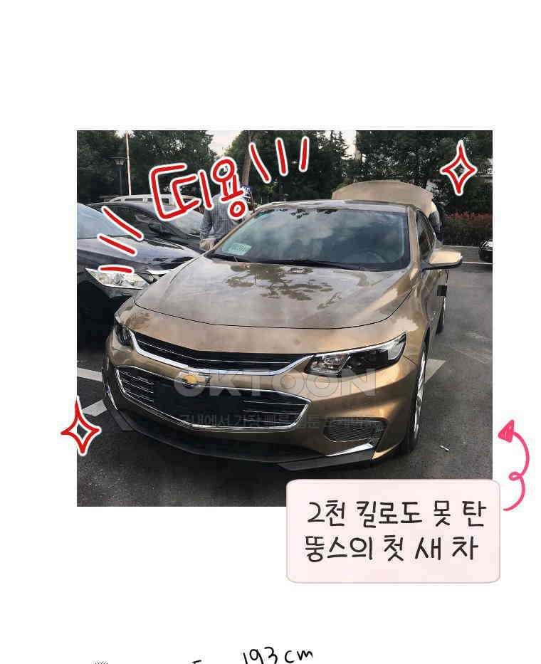 딩스뚱스 [한국]시즌11 후기 15