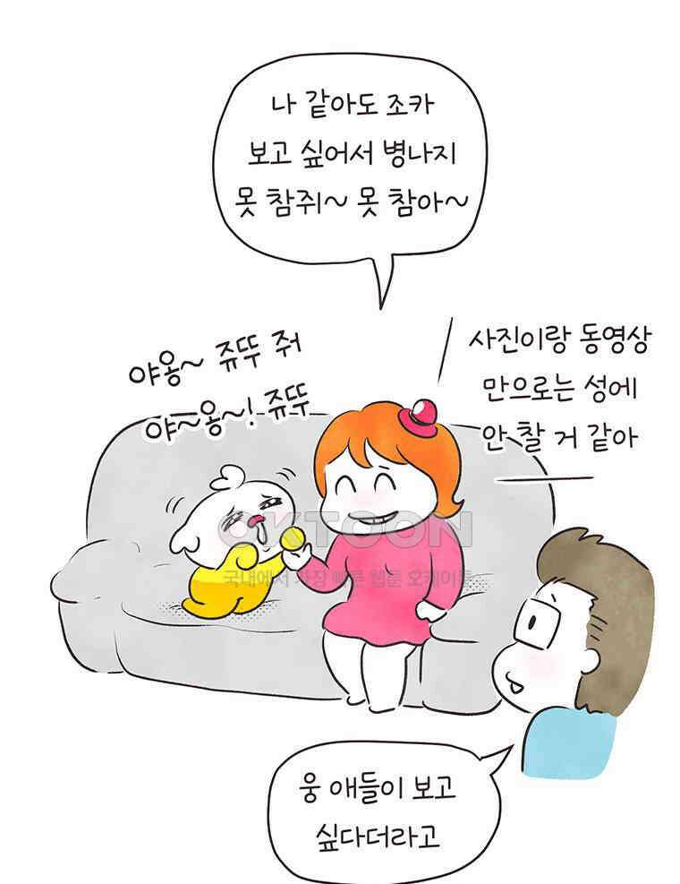딩스뚱스 328화 일본 시누이네 11