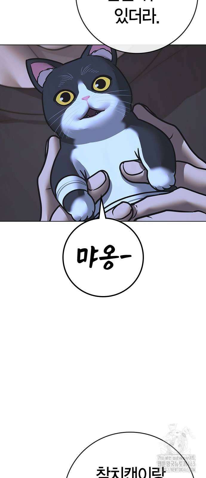 현실퀘스트 136화 13