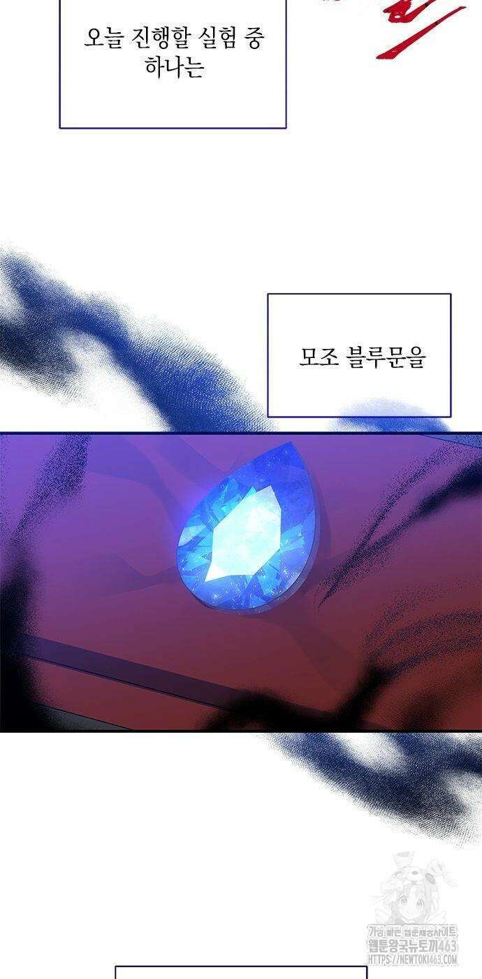고양이인데, 늑대 가문에 입양당했다? 34화 4
