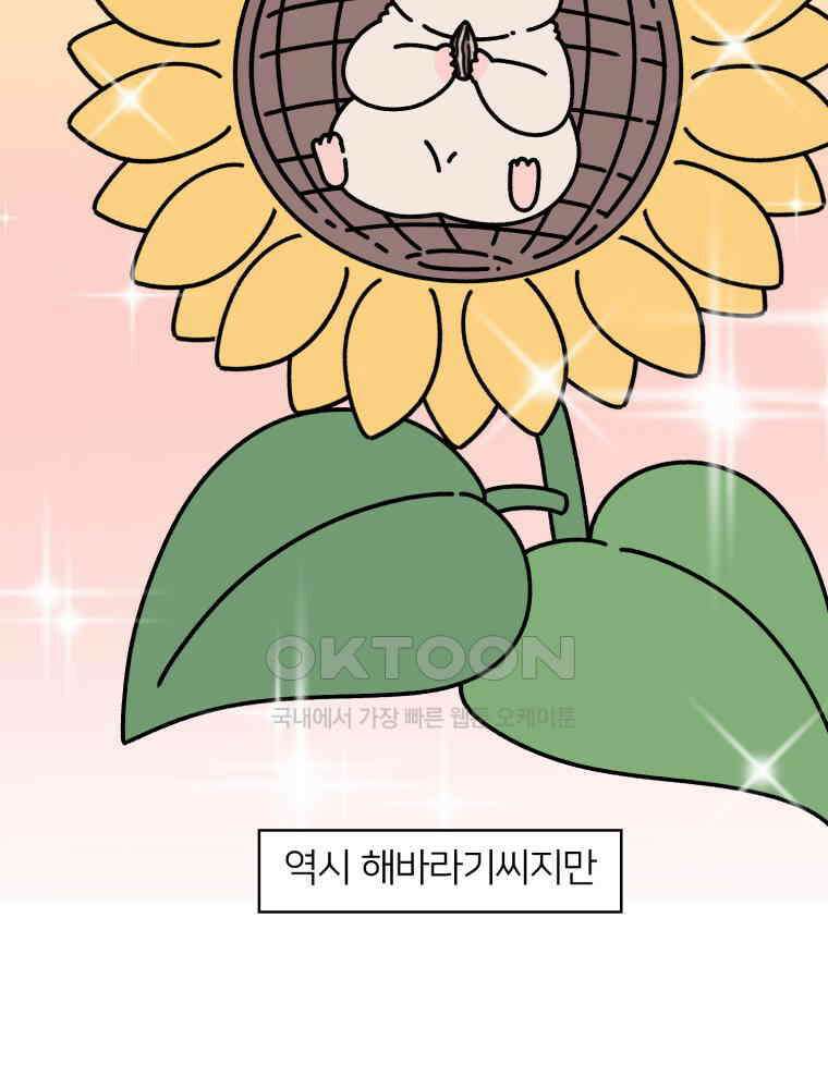어쩌다 햄스터 23． 햄스터와 해바라기씨 2