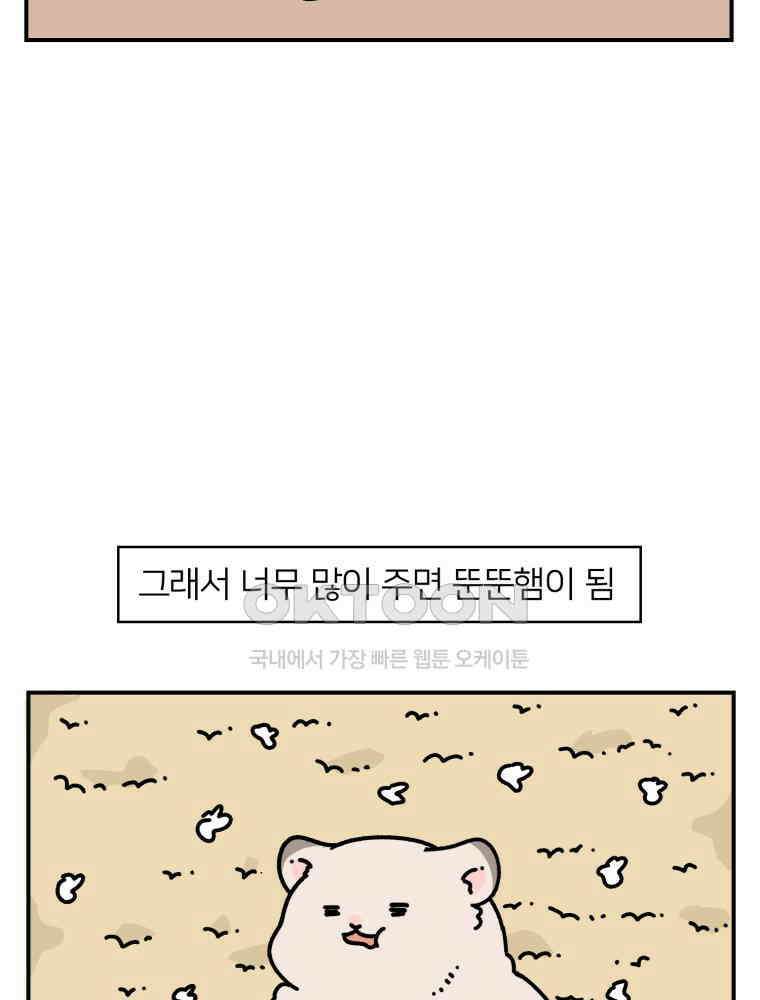 어쩌다 햄스터 23． 햄스터와 해바라기씨 4