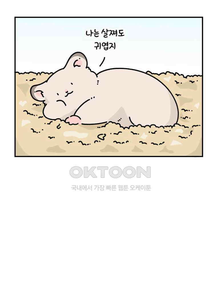 어쩌다 햄스터 23． 햄스터와 해바라기씨 6