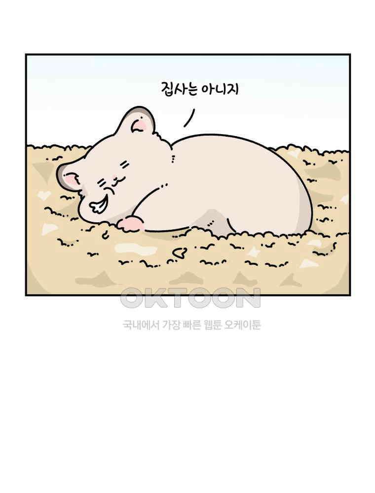 어쩌다 햄스터 23． 햄스터와 해바라기씨 7