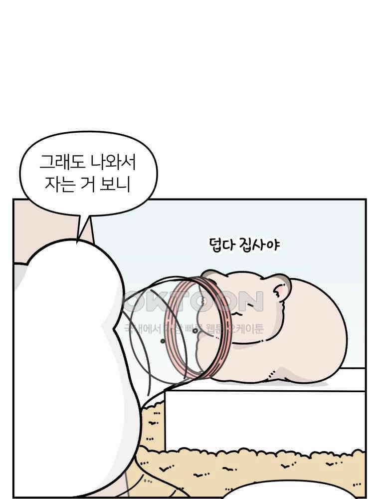 어쩌다 햄스터 28． 햄집사와 벌레(1) 10