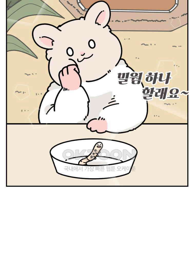 어쩌다 햄스터 32． 더티큐티 8