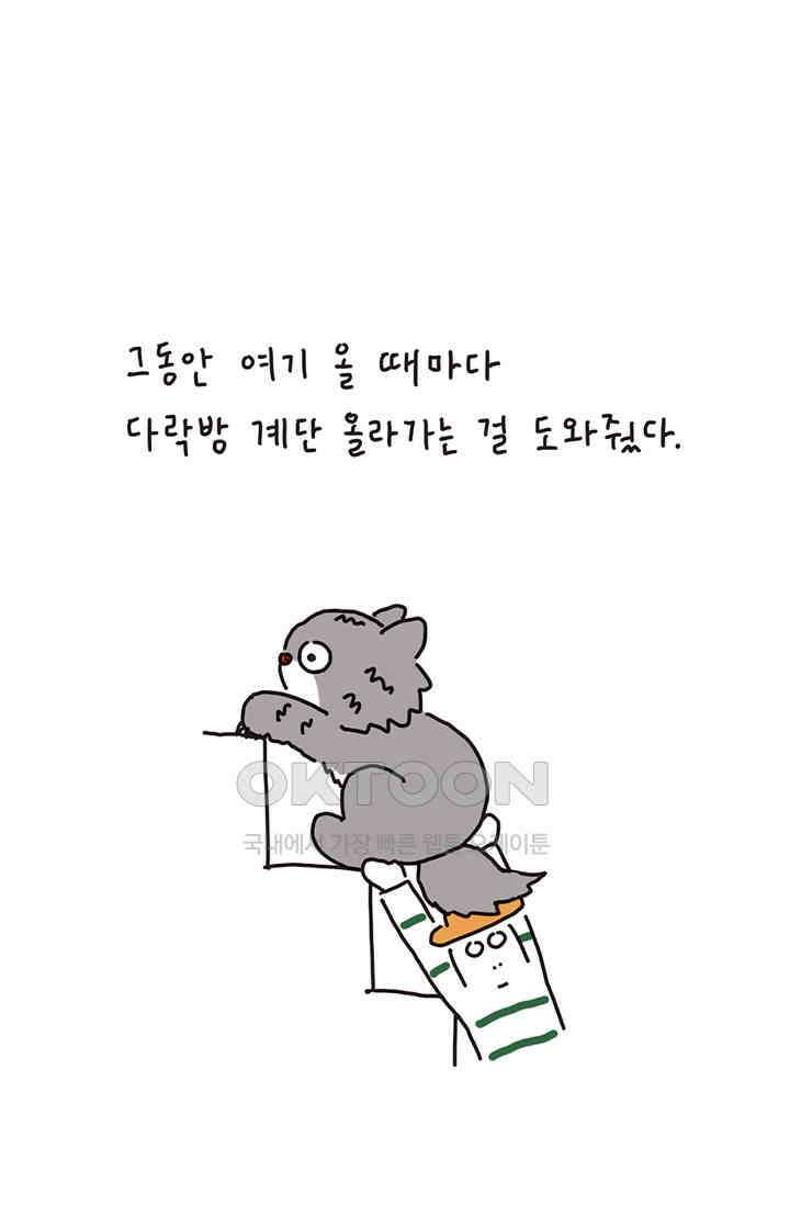 은동스+옹동스 은동스 198화． 고양이와의 신경전 11