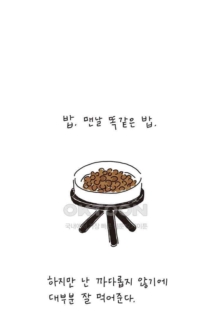 은동스+옹동스 은동스 216화． 은동의 프로젝트 8