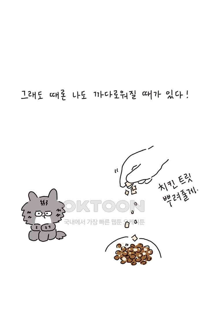 은동스+옹동스 은동스 216화． 은동의 프로젝트 9