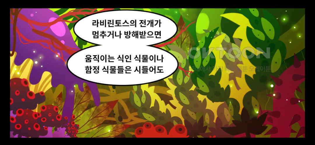 블랙보이 338화 2