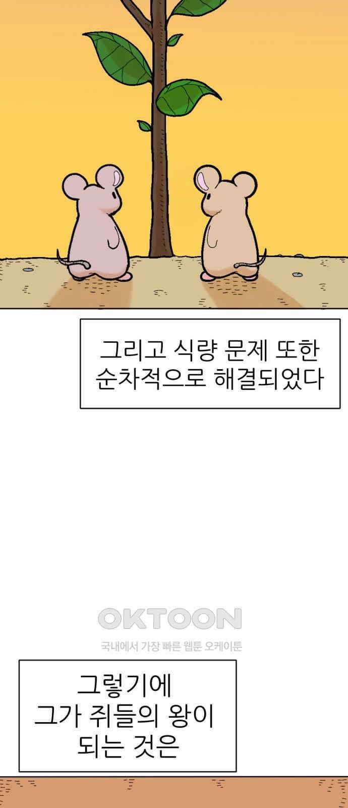 우리들의 사정 16화 똑똑한 쥐(2) 4