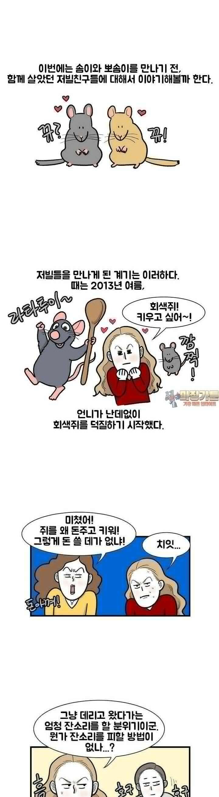 극한견주 63화 극한햄주 3 1