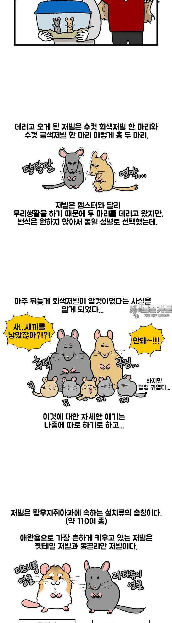 극한견주 63화 극한햄주 3 4