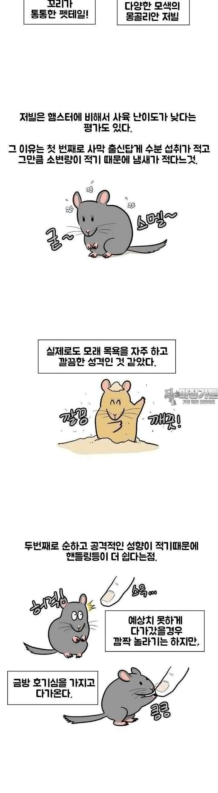극한견주 63화 극한햄주 3 5