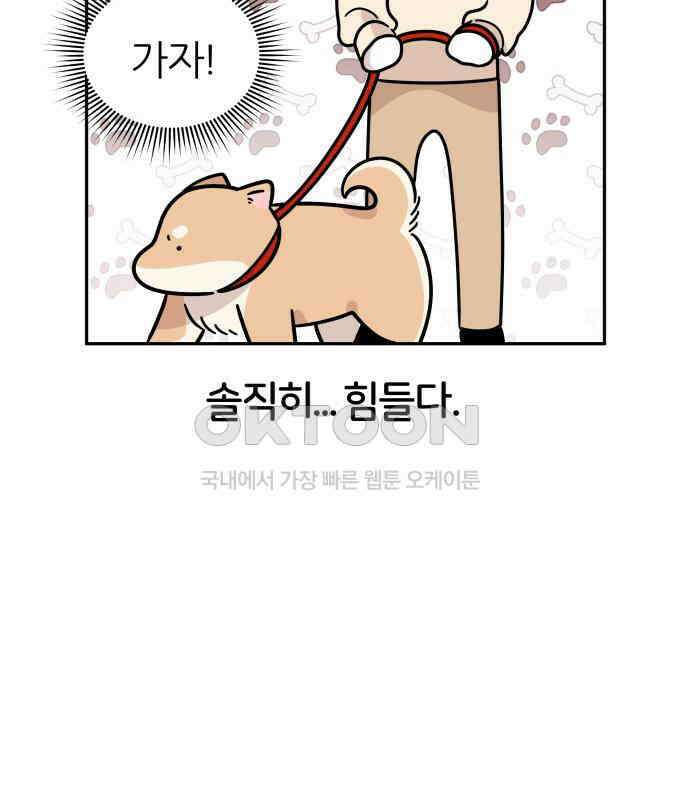 시바, 만만치 않다 14화 2