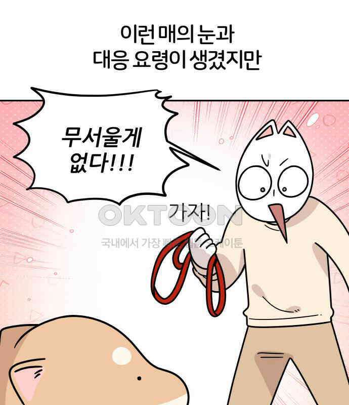 시바, 만만치 않다 14화 14