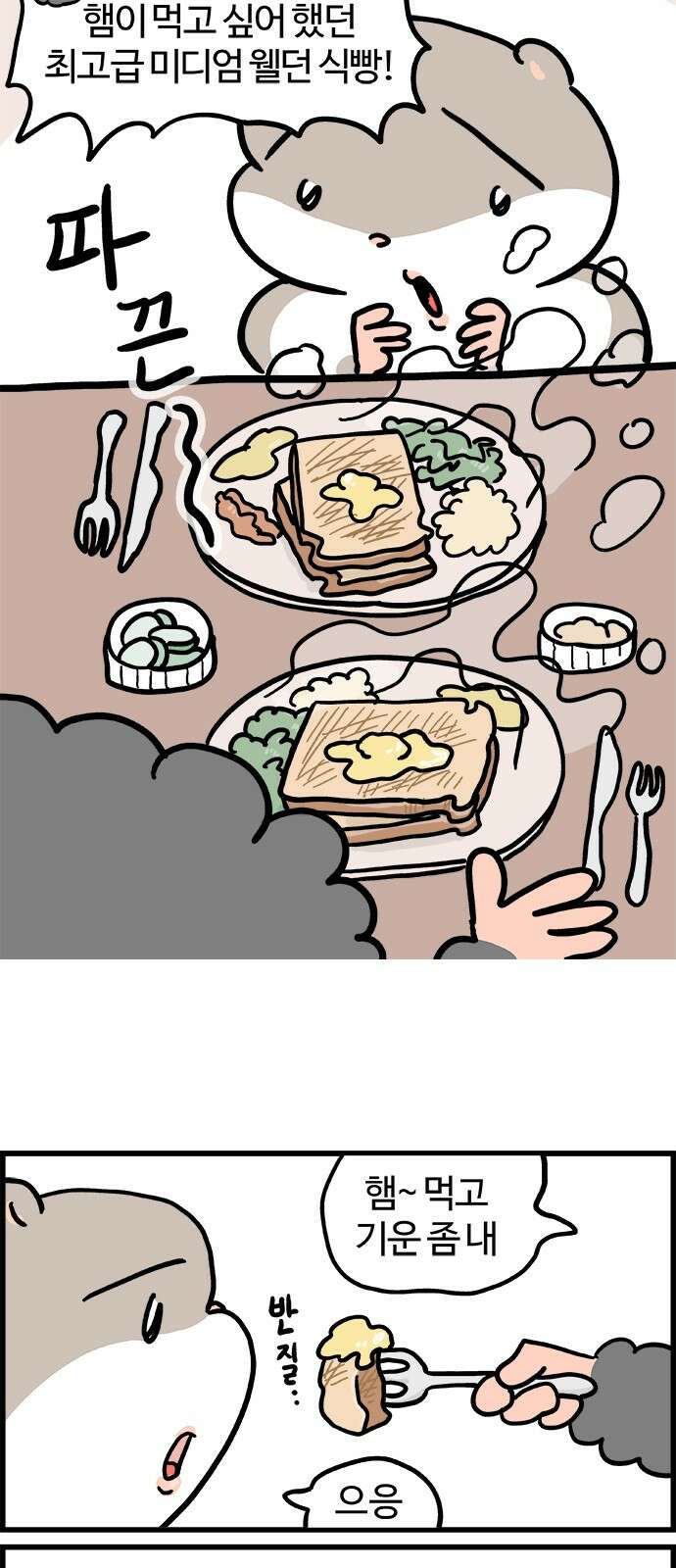 흔한햄 2부 36화 : 파국 4