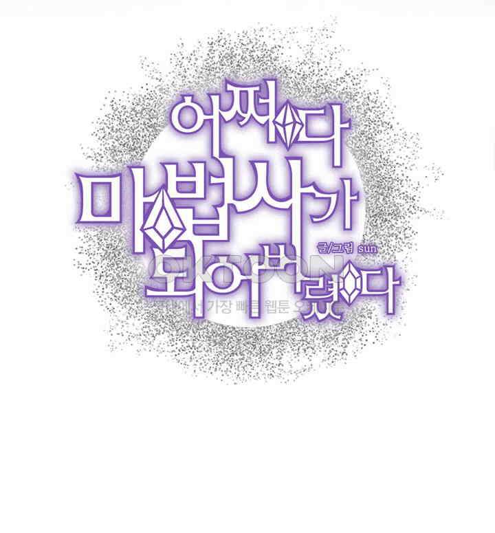 어쩌다 마법사가 되어버렸다 16 2