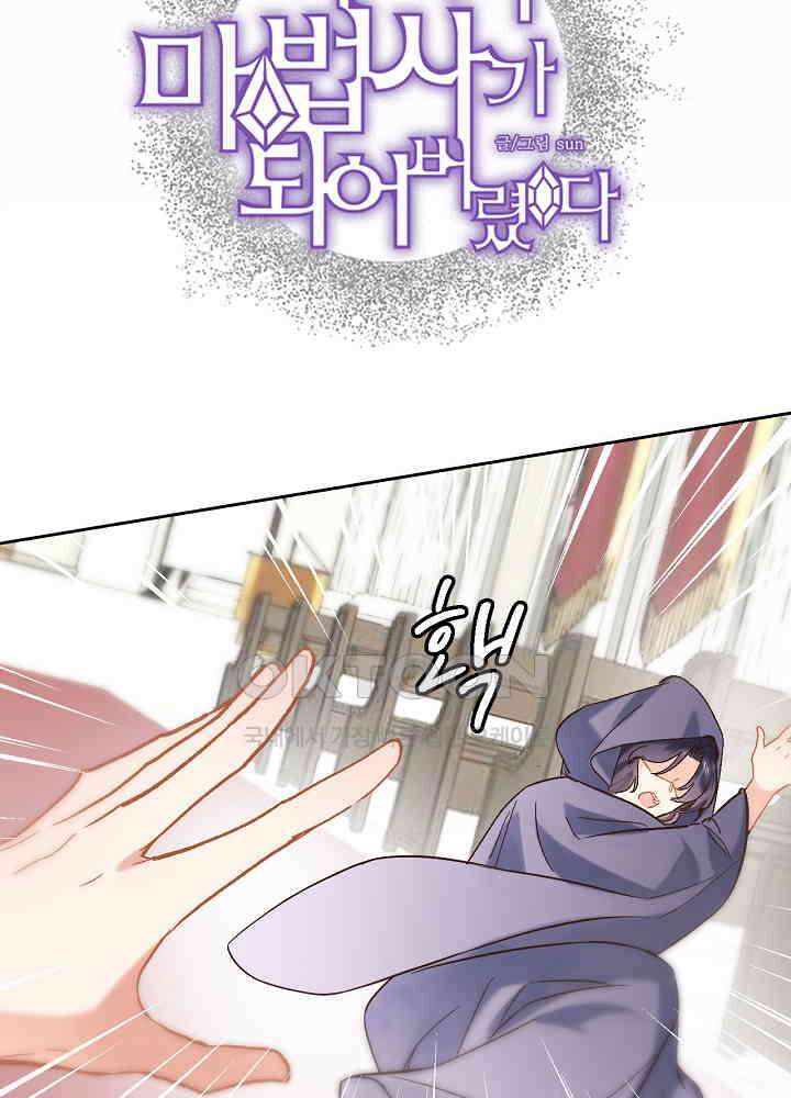 어쩌다 마법사가 되어버렸다 43 3