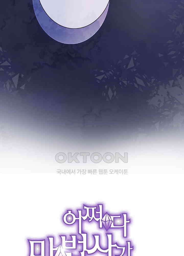 어쩌다 마법사가 되어버렸다 95 5