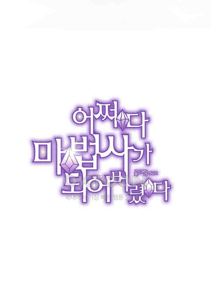 어쩌다 마법사가 되어버렸다 97 4