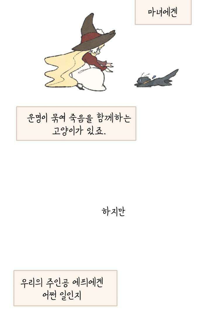 별똥별이 떨어지는 그 곳에서 기다려 [설특집-별떨곳 가이드] 10