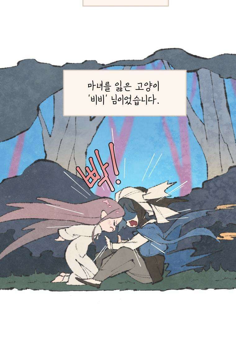 별똥별이 떨어지는 그 곳에서 기다려 [설특집-별떨곳 가이드] 13
