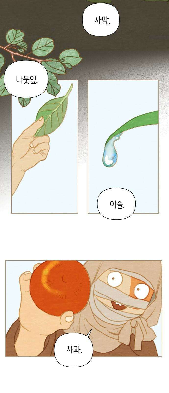 율리 2부 2． 쿠무치 관장의 경우2 2