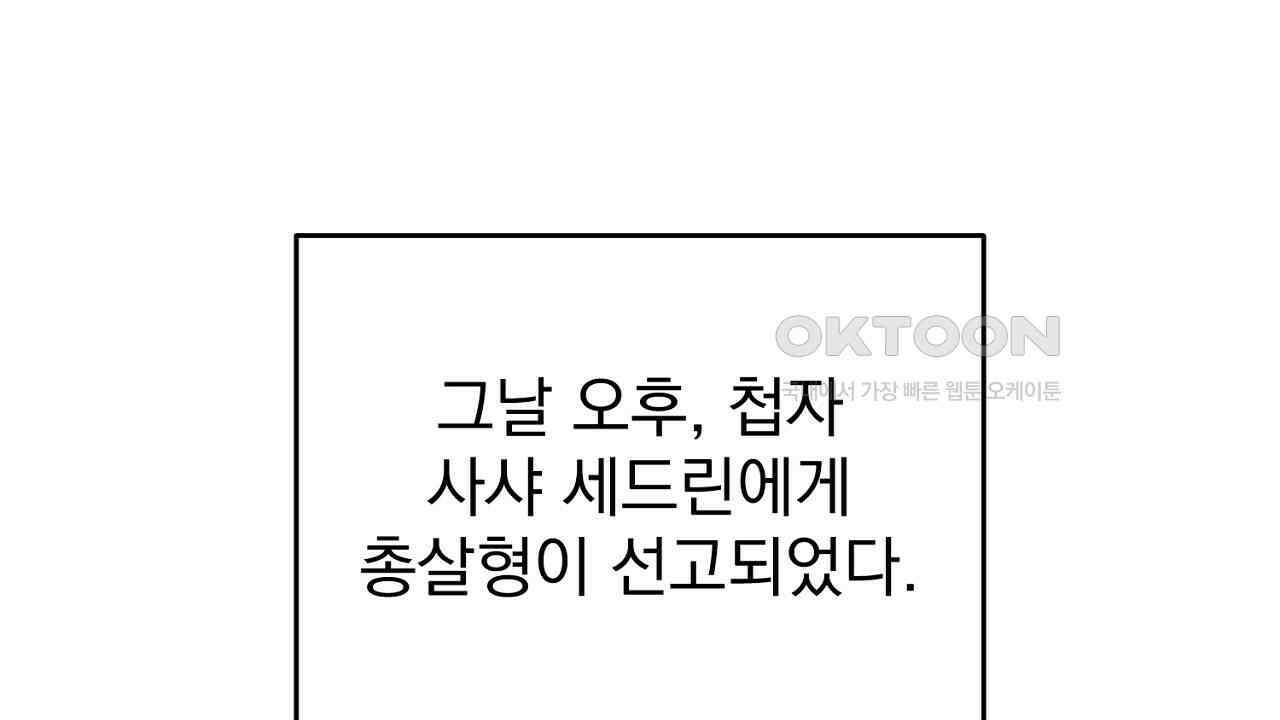 솔로 포 투 73화 44