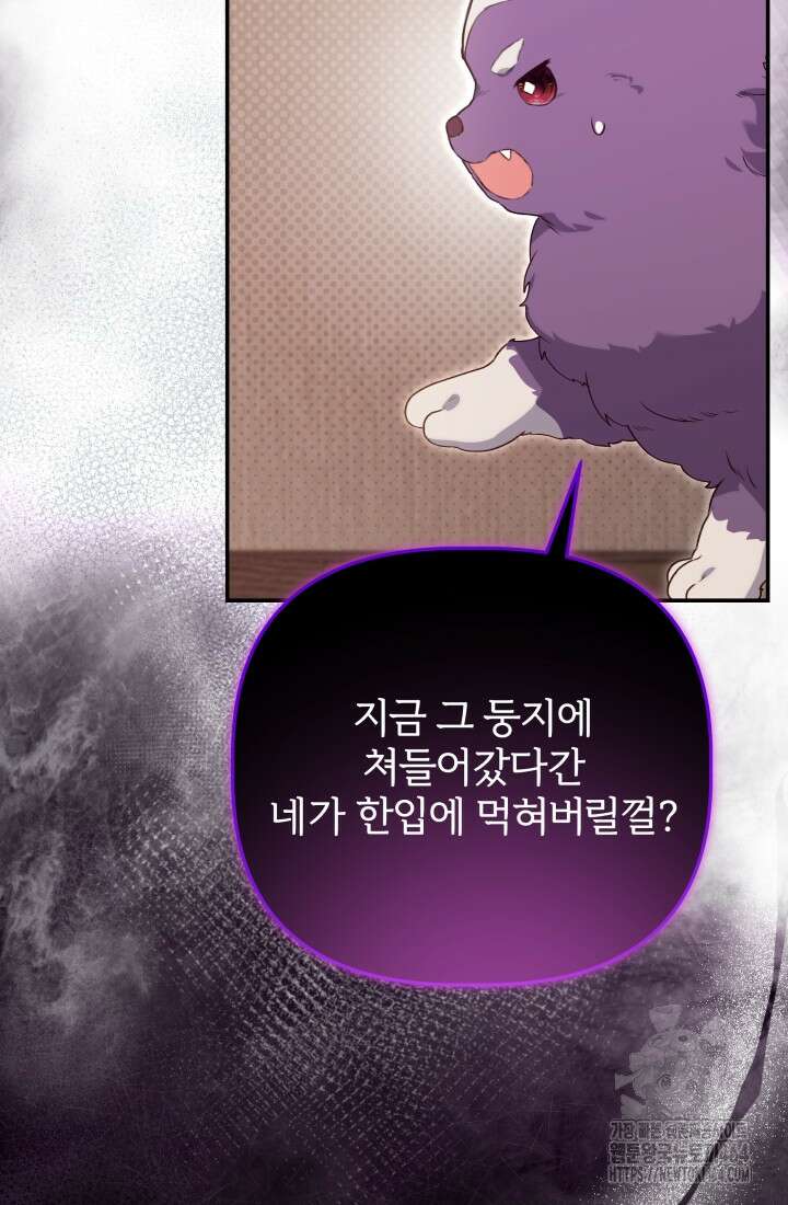 아젤다 : 정령사의 계약 결혼 4화 5